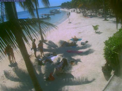 akumal bay webcam|Akumal Beach Webcam